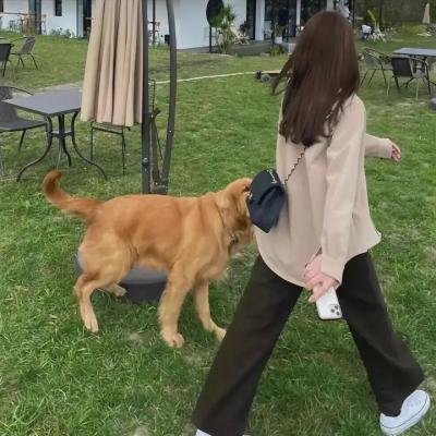 不死废人